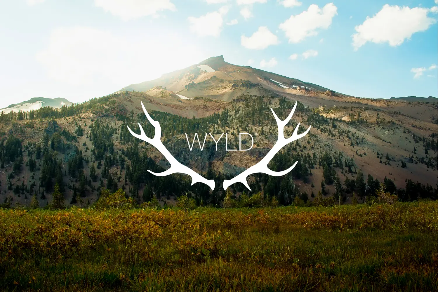 wyld history